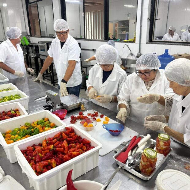 pimentas curso