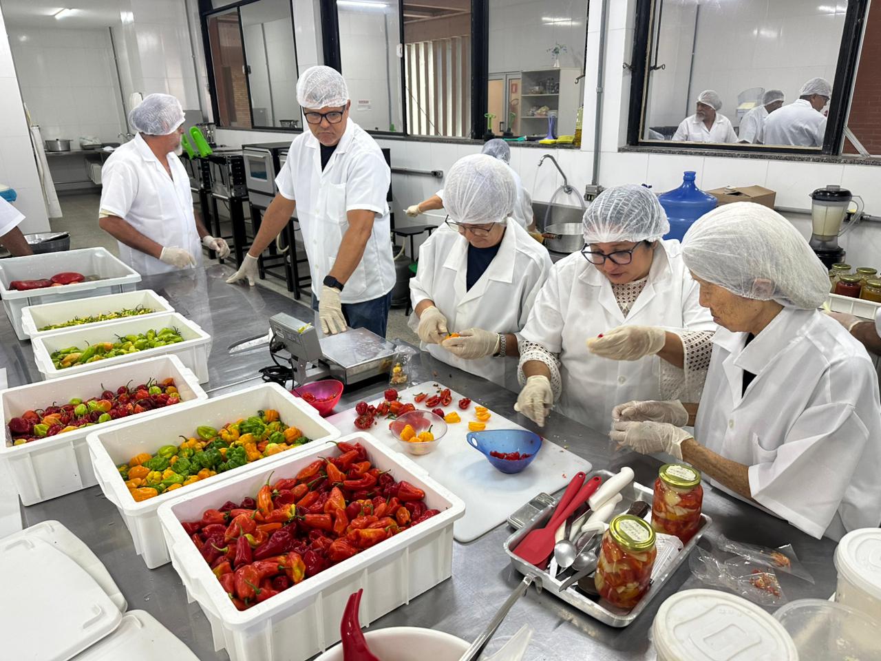 pimentas curso