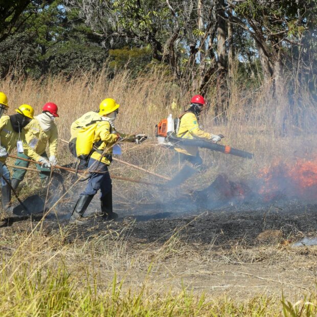 Foto: Joel Rodrigues/Agência Brasília