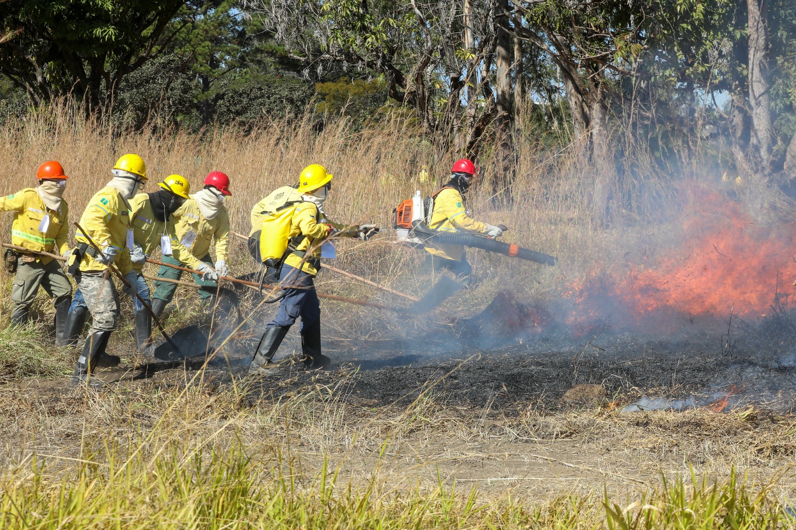 Foto: Joel Rodrigues/Agência Brasília