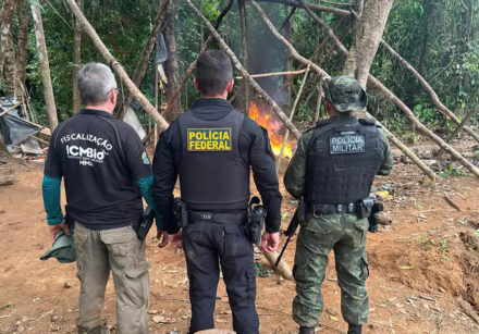 pf garimpo ilegal