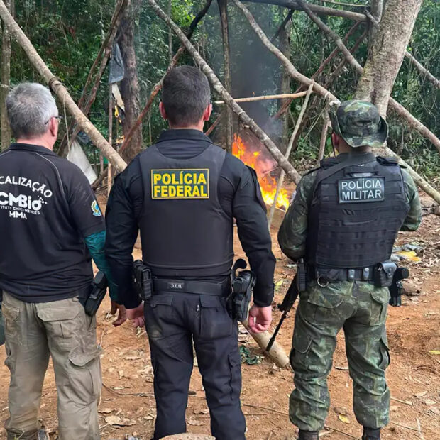 pf garimpo ilegal