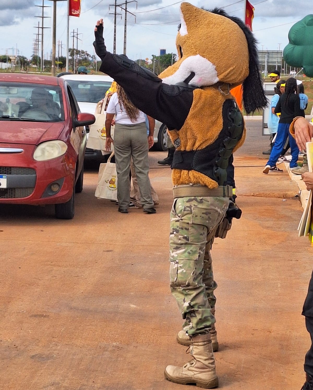 Foto: Divulgação/PMDF