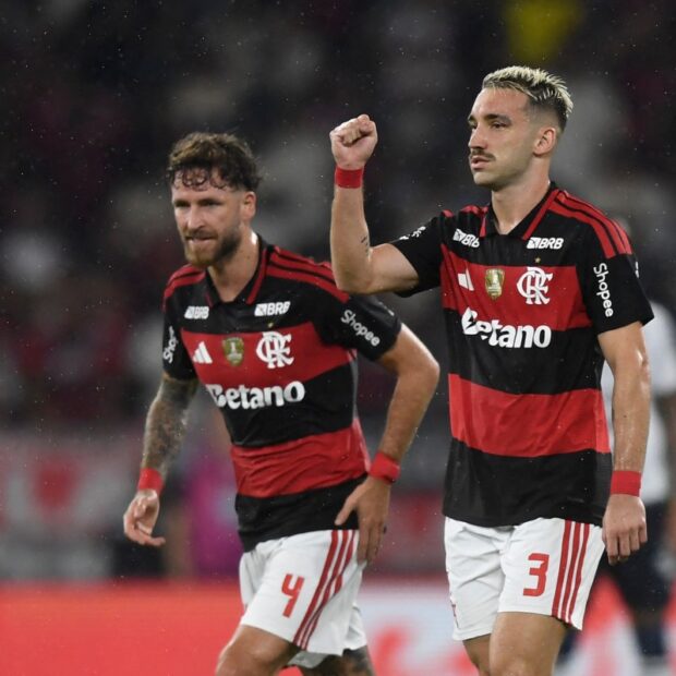 fbl bra flamengo remo