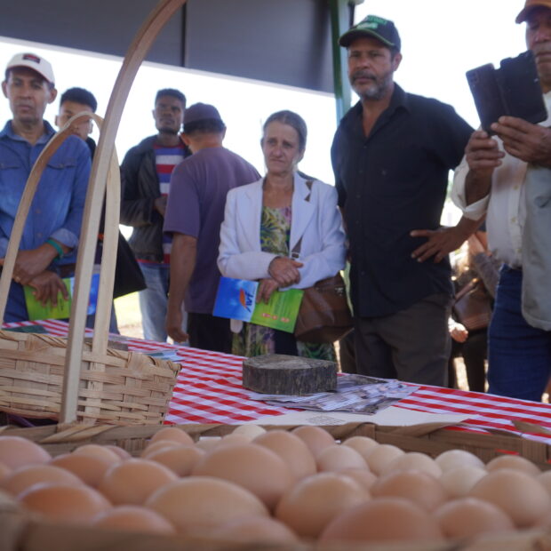 Foto: Divulgação/Emater-DF