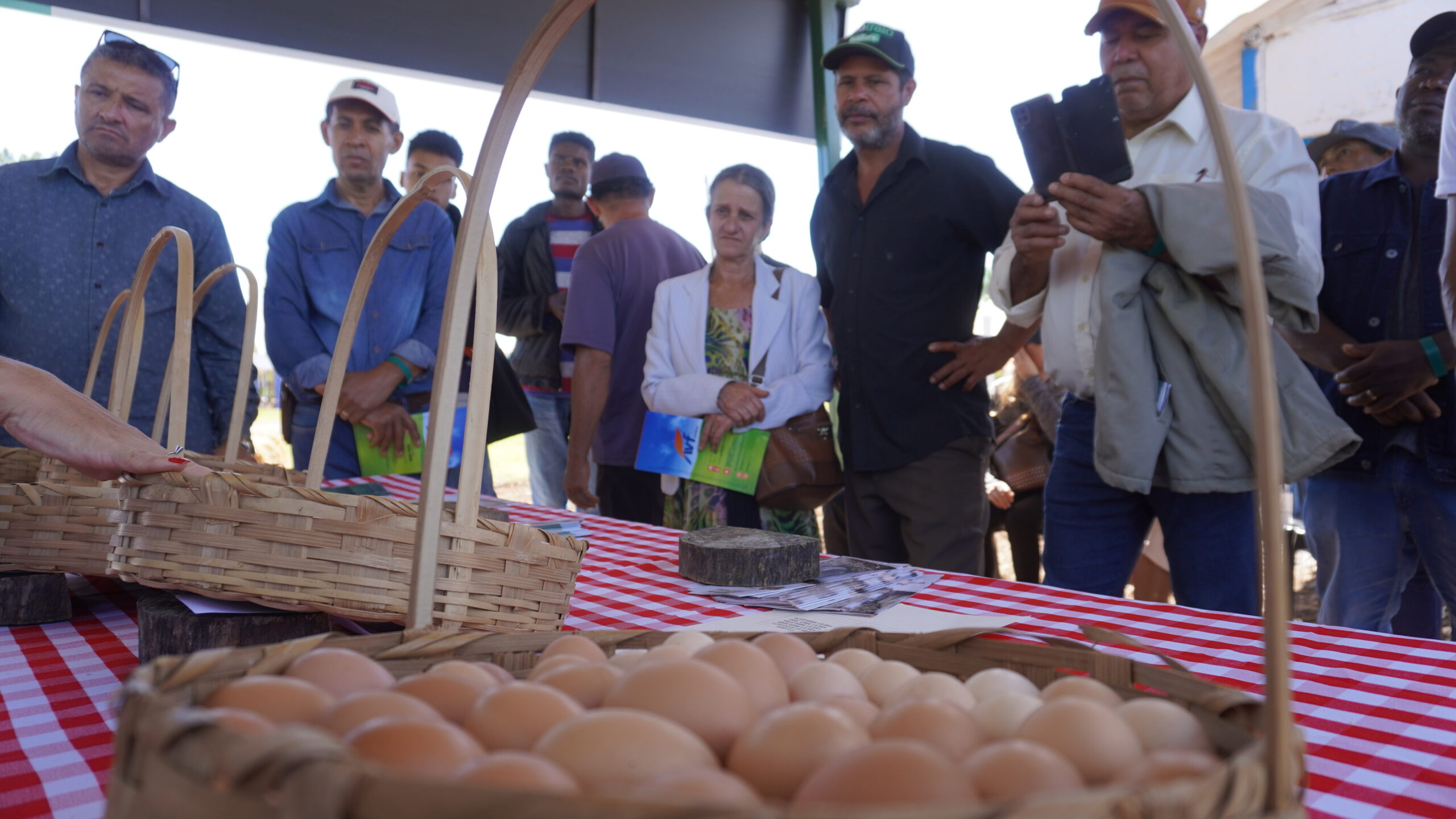 Foto: Divulgação/Emater-DF