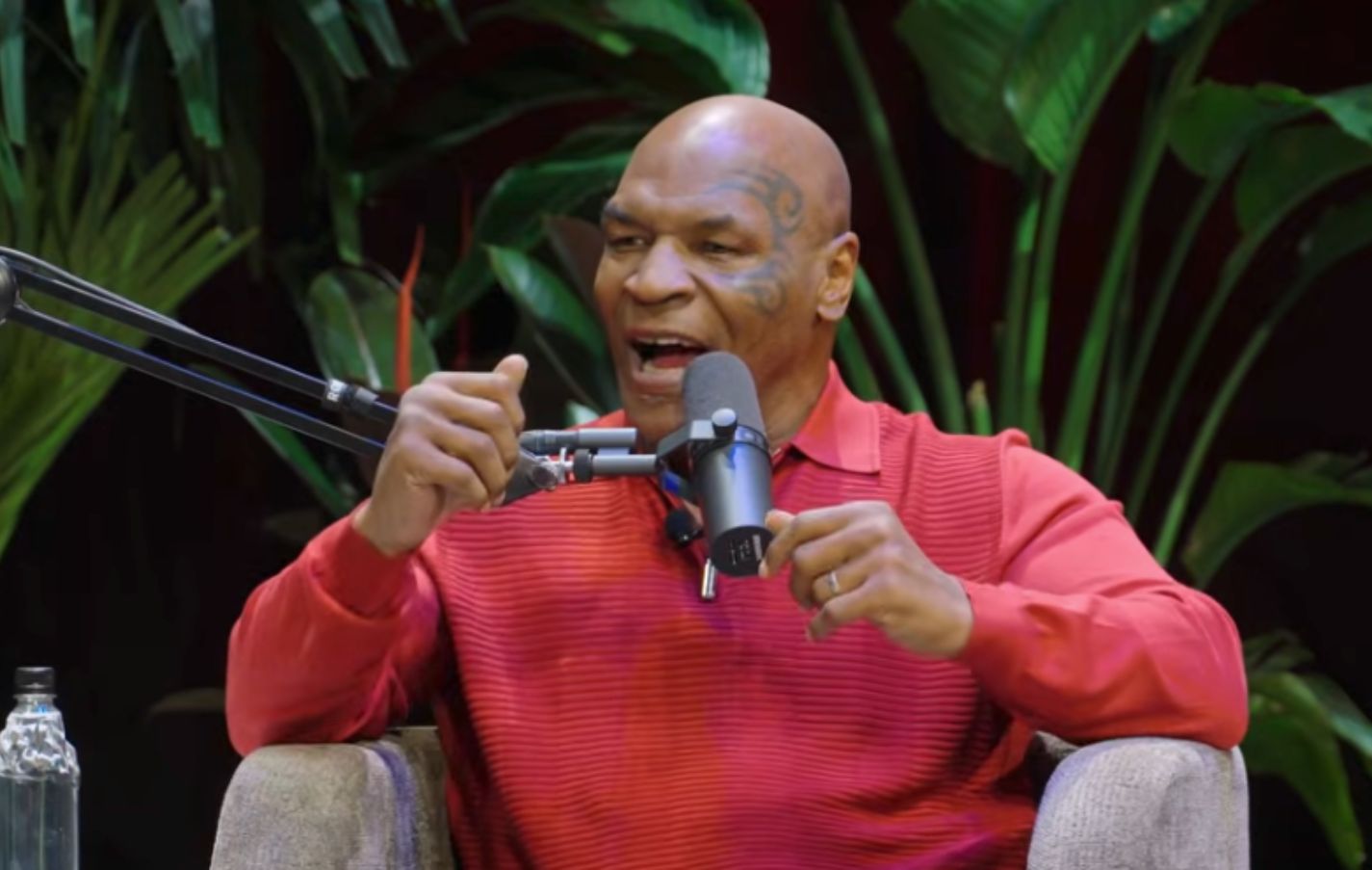Mike Tyson - Reprodução Youtube