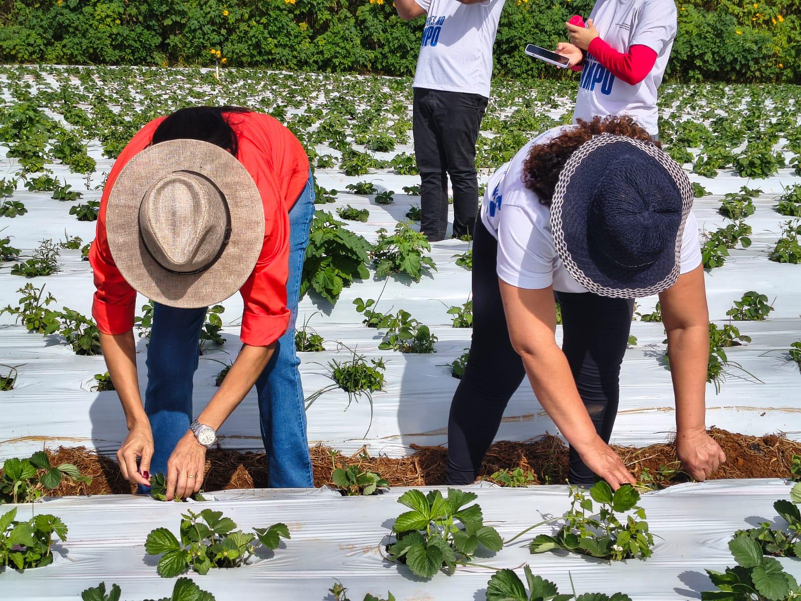 Projeto Mulheres no Campo chega ao fim com mais de 200 mulheres  qualificadas | Jornal de Brasília