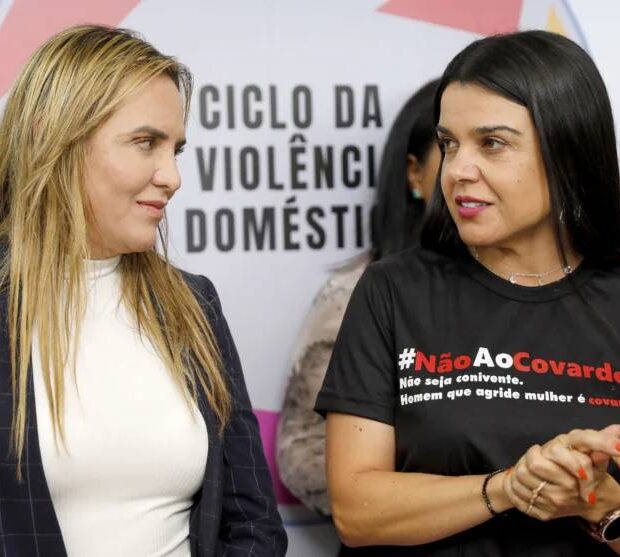 celina desenvolvimento
