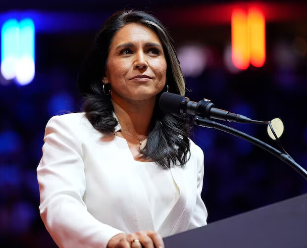 tulsi gabbard