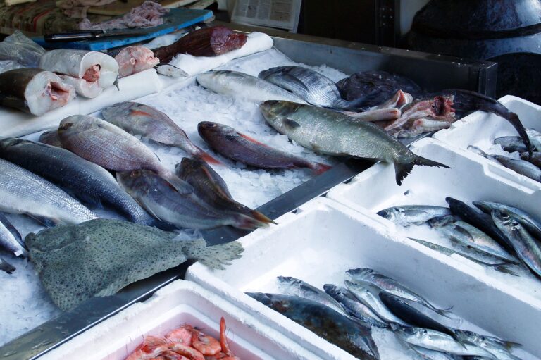 sale of fresh sea fishes in a traditional portuguese market.