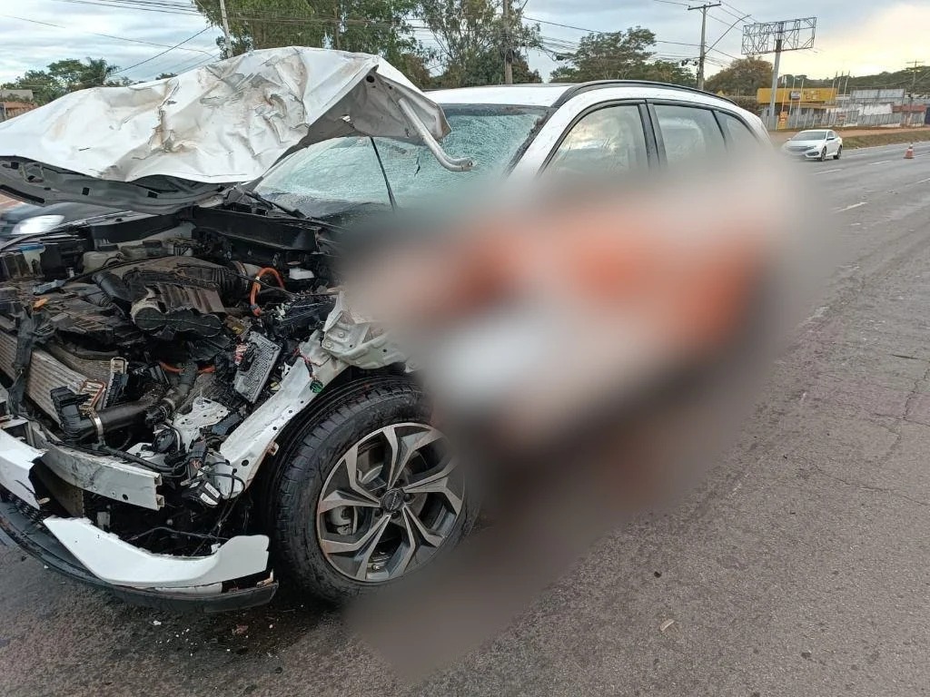 Acidente aconteceu após um cavalo solto invadir a pista da BR-153, em Goiânia, durante a madrugada. - Reprodução Instagram