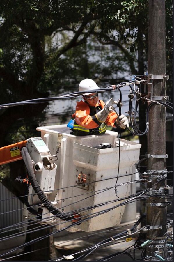 distribuição. manutenção de rede. foto divulgação neoenergia (4)