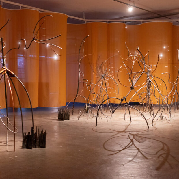 36 bienal de são paulo
