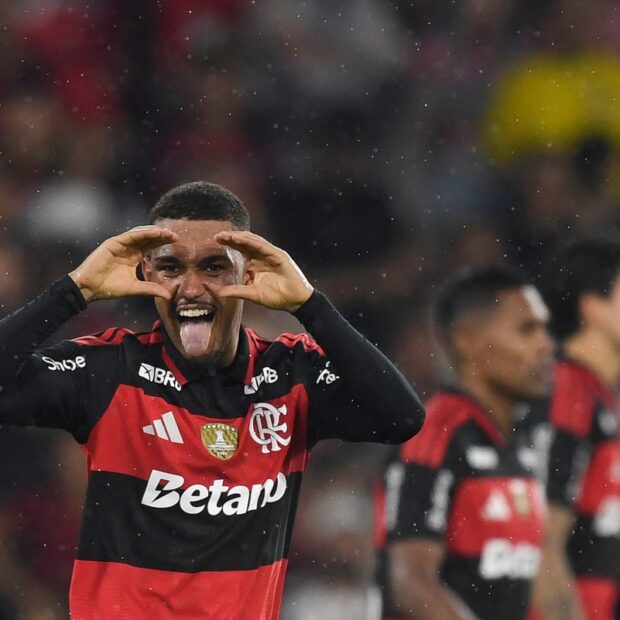 fbl bra flamengo remo