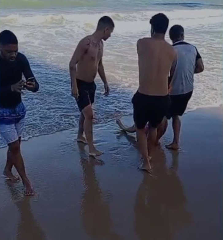 Foto: Reprodução