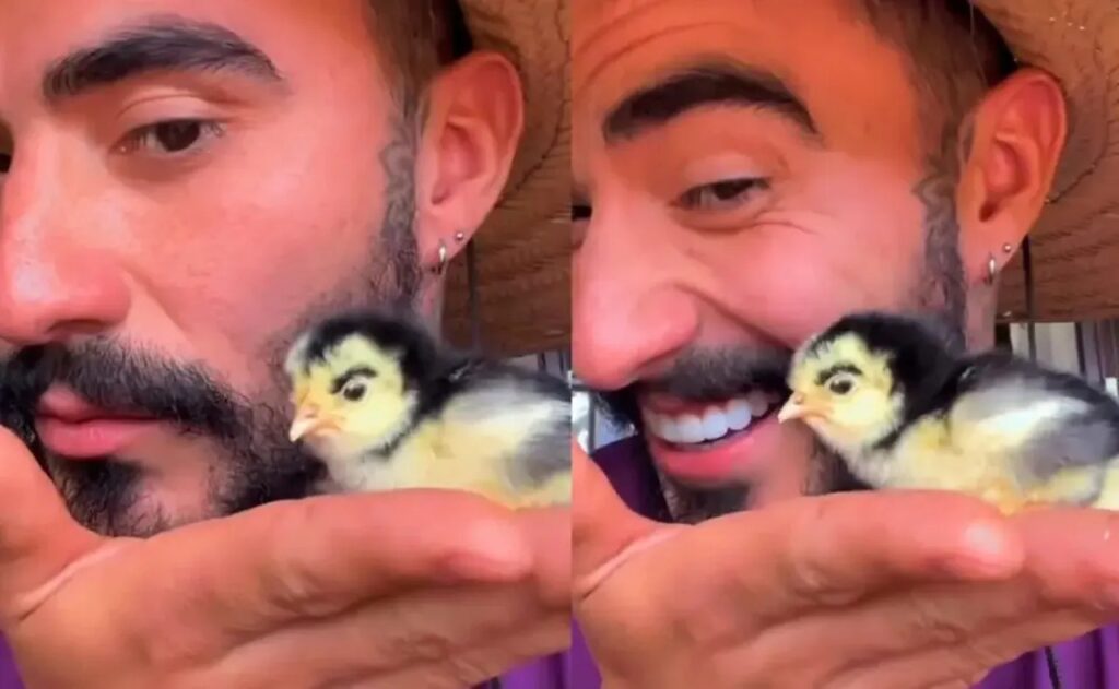  Influencer viralizou em 2025 ao mostrar pintinho com uma mancha escura acima do olho

