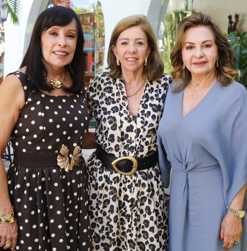 celina jardim, alice abreu e heloísa morais