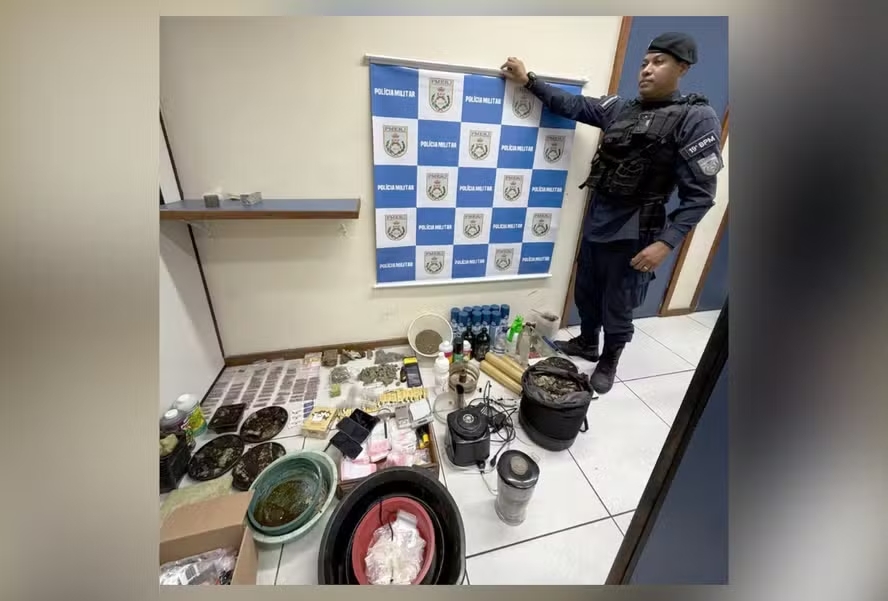 arte 14