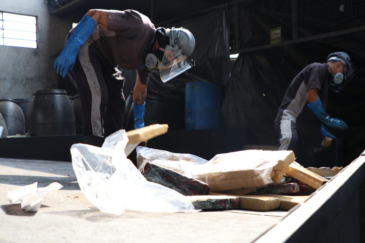DF retira 50 toneladas de drogas das ruas em sete anos