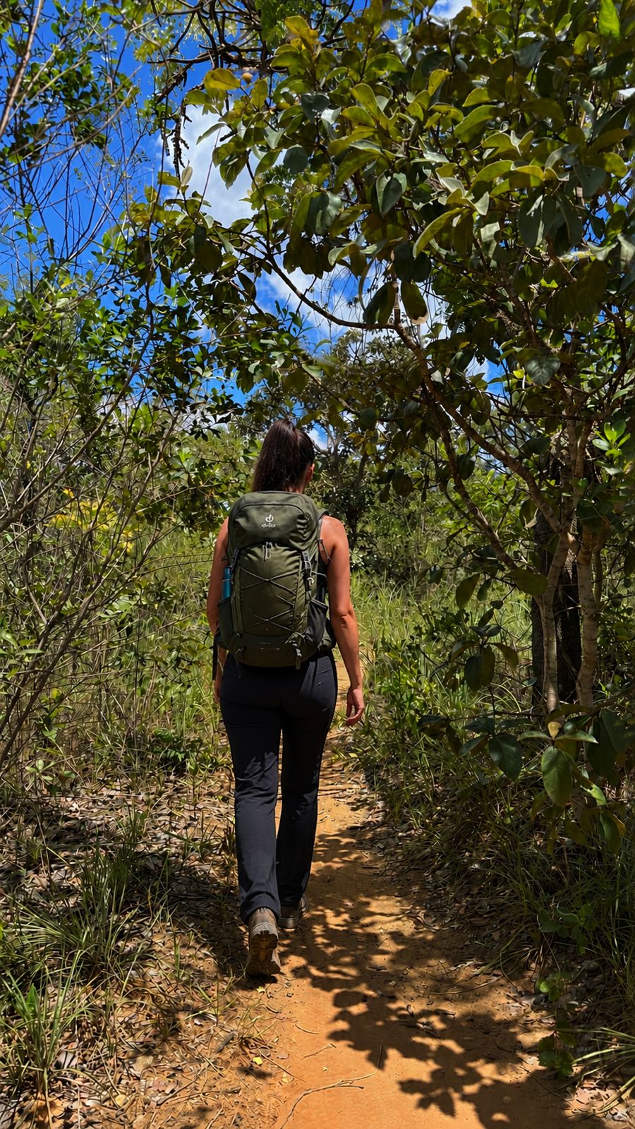 GDF vai instituir o Dia da Caminhada nas Trilhas Ecológicas 