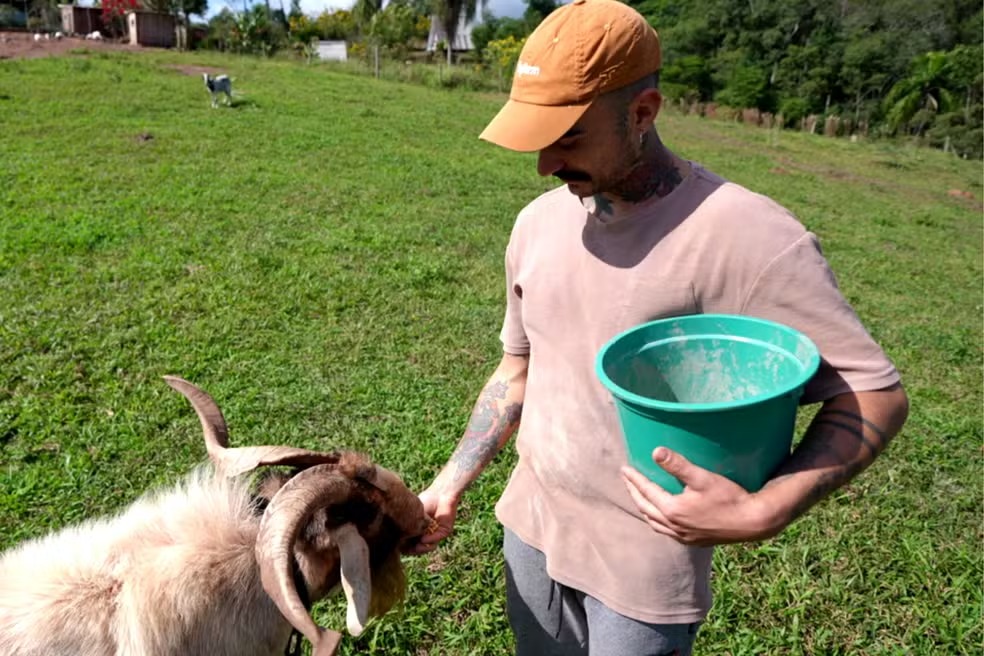  Influenciador afirmou que o animal se chamava Margarida
