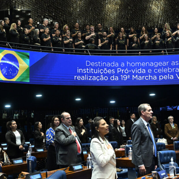 homenagem às instituições pró vida e celebrar a realização da 19ª marcha pela vida