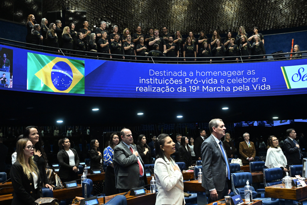 homenagem às instituições pró vida e celebrar a realização da 19ª marcha pela vida