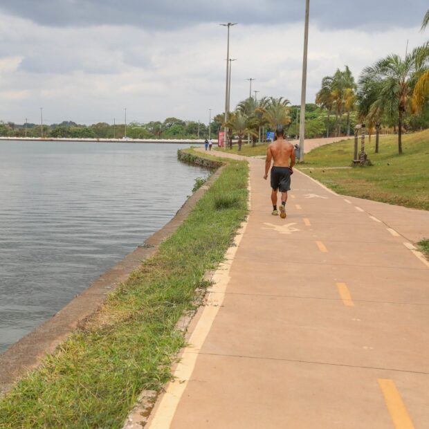Piquenique à Beira do Lago