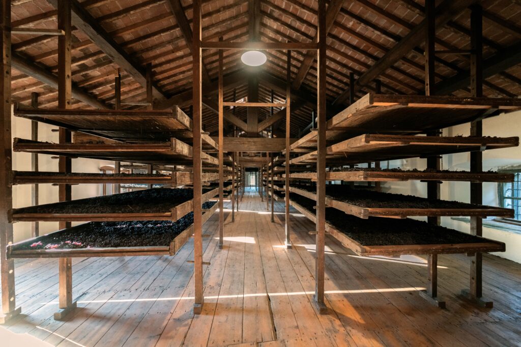 5 appassimento uve amarone villa mosconi bertani