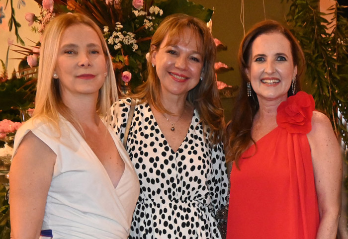 deborah pinheiro, carminha rajzman e ludmila galvão