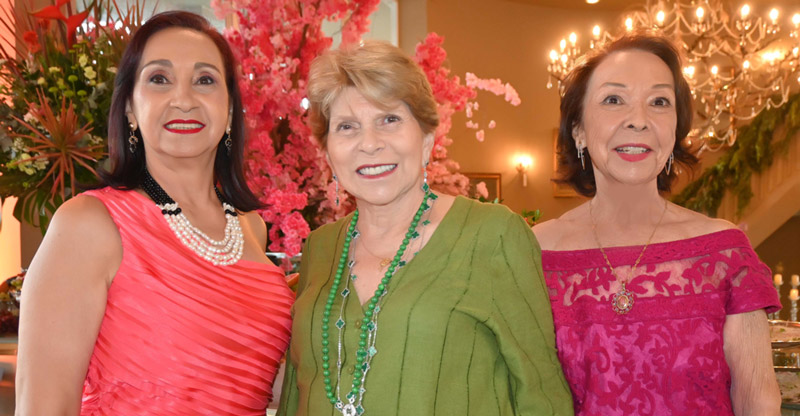rita márcia machado, rosângela meneghetti e maria olímpia gardino