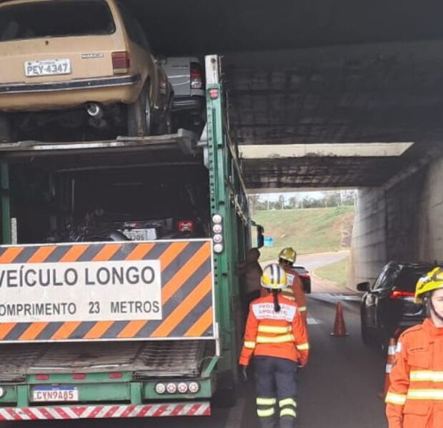 fotos jornal (10)