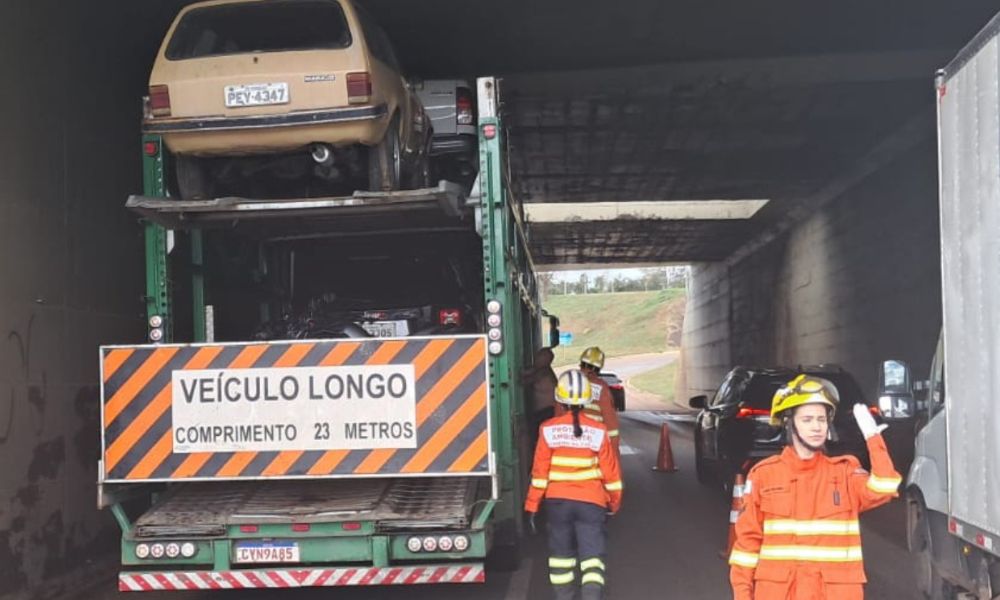fotos jornal (10)