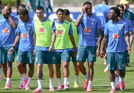 fbl wc 2026 training bra