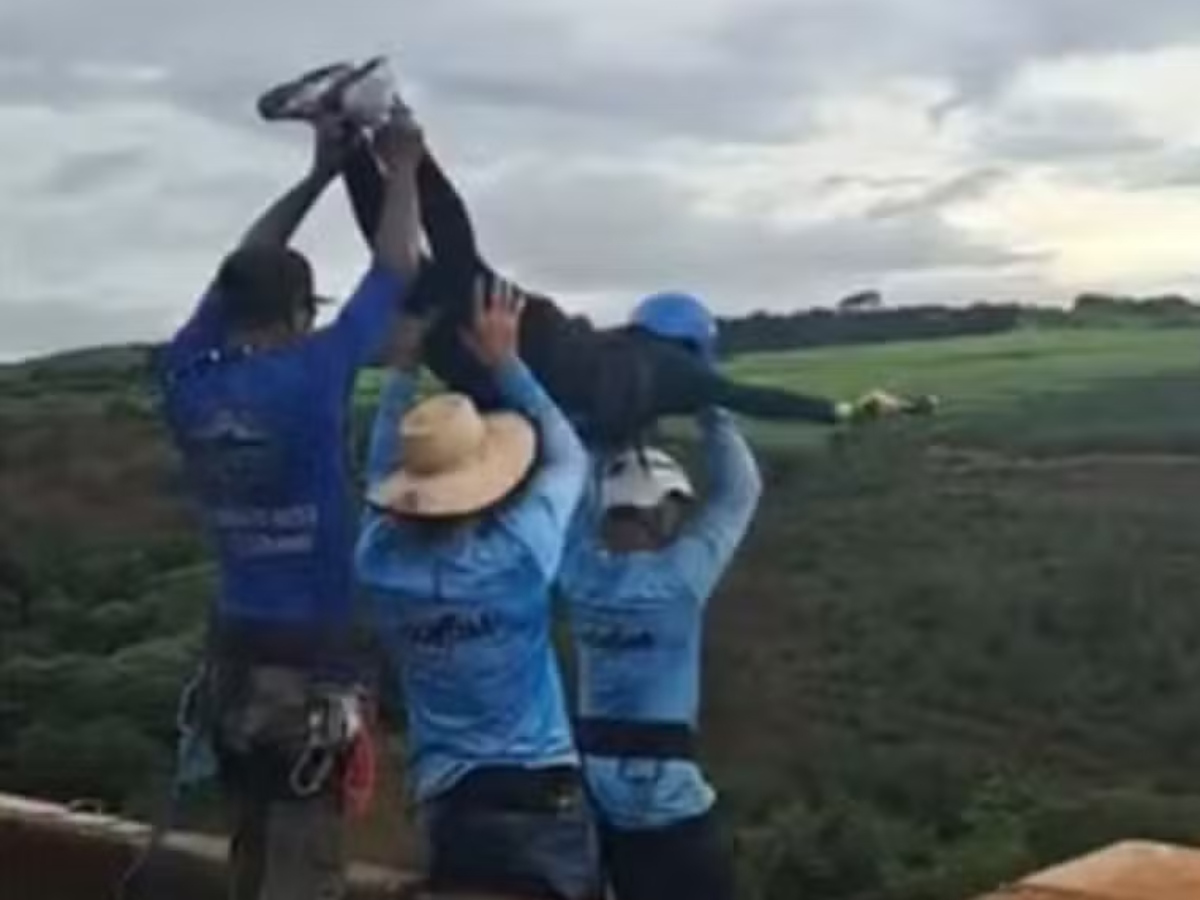 mulher corda rope jump