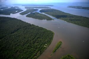 floresta amazônica