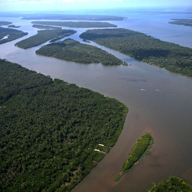 floresta amazônica