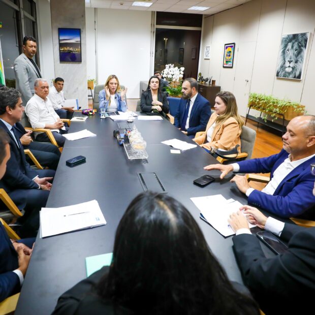 reuniao celina
