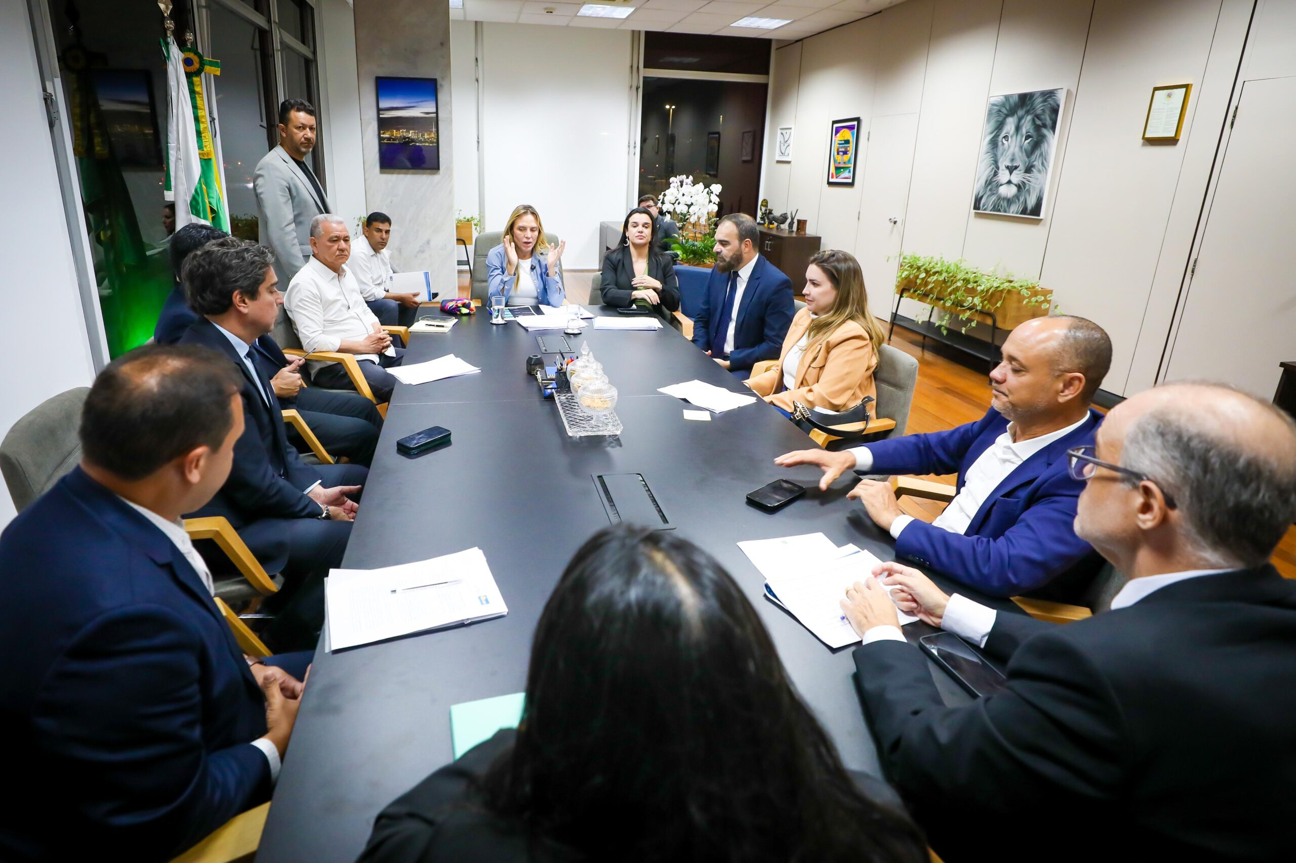 reuniao celina