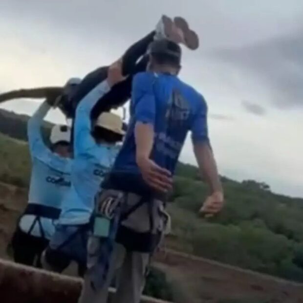 jovem morta após salto