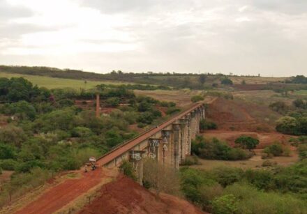 ponte do esqueleto morte jovem sem corda