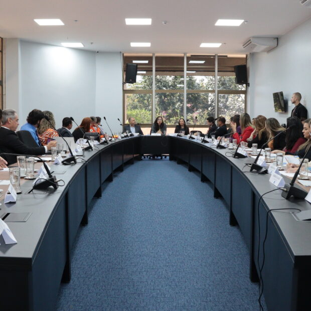 2º encontro corregedorias df (1)