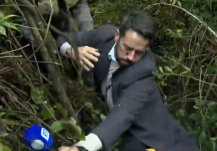 Foto 1: Dionísio Freitas caiu duas vezes durante entrada ao vivo no Cidade Alerta Foto 2: Reinaldo Gottino reagiu assustado ao ver o colega se desequilibrar na mata Foto 3: Jornalista foi ajudado por socorrista e continuou a reportagem após o susto