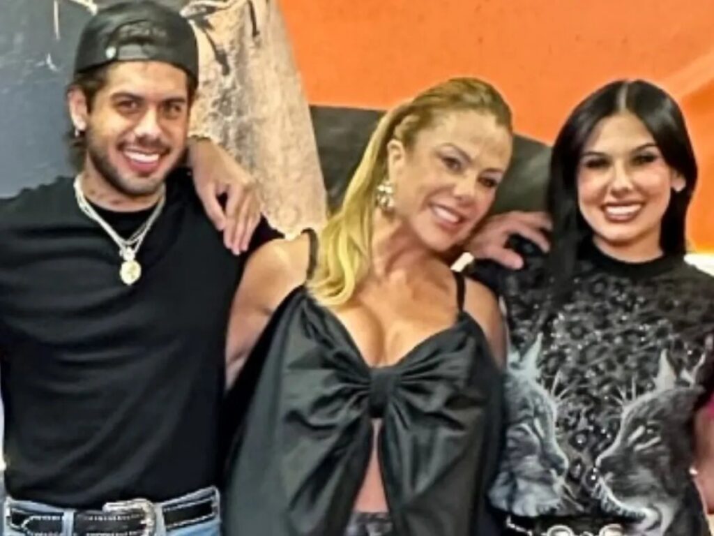 Seguidores apontaram o suposto sumiço de um quadro da cantora na Fazenda Talismã

