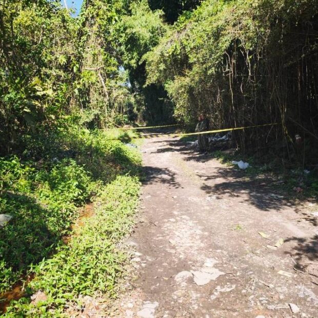 gcm encontra dois corpos em área de mata na zona leste de são paulo