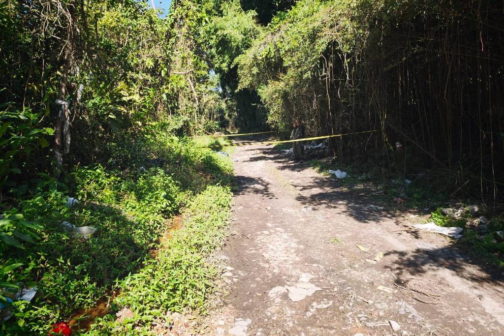gcm encontra dois corpos em área de mata na zona leste de são paulo