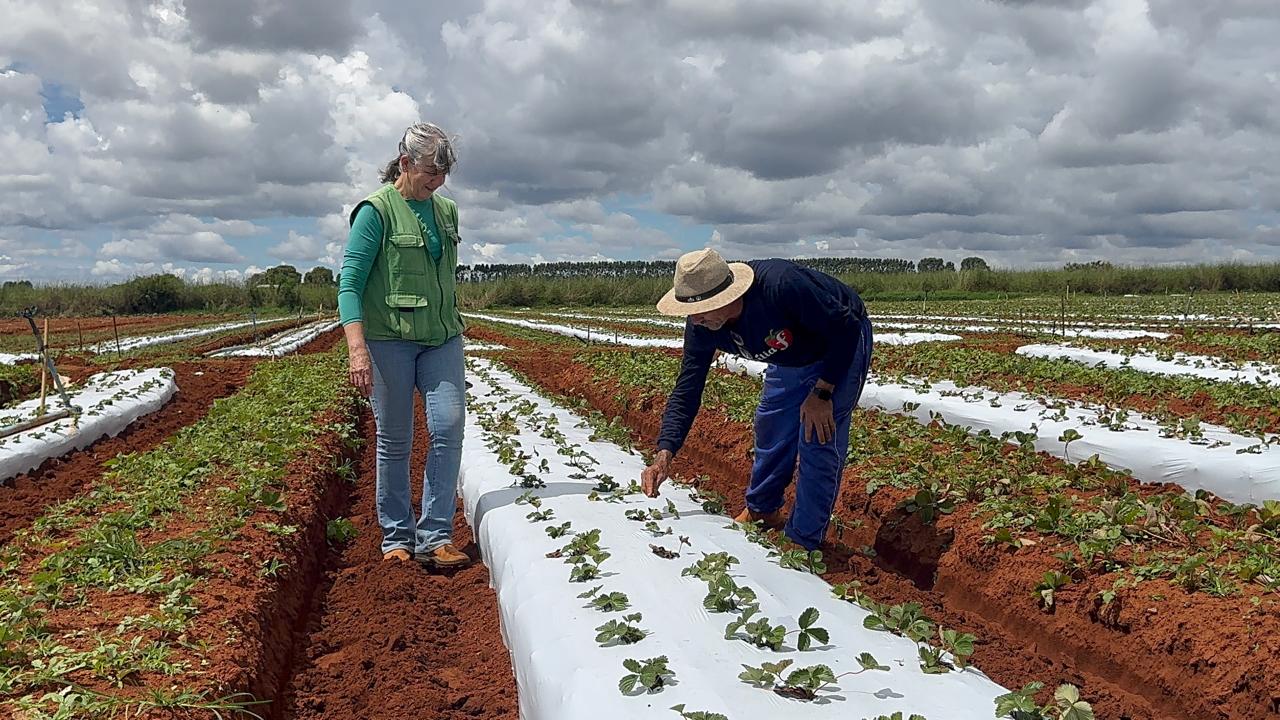 19.6. foto divulgação emater df3