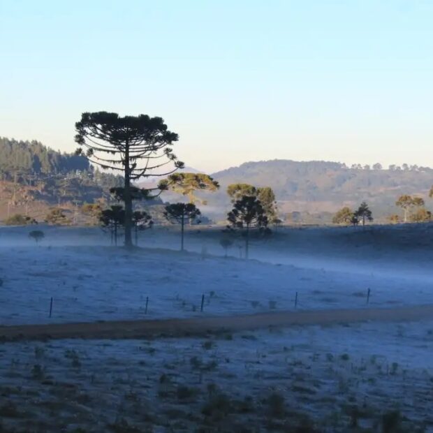 urupema frio03