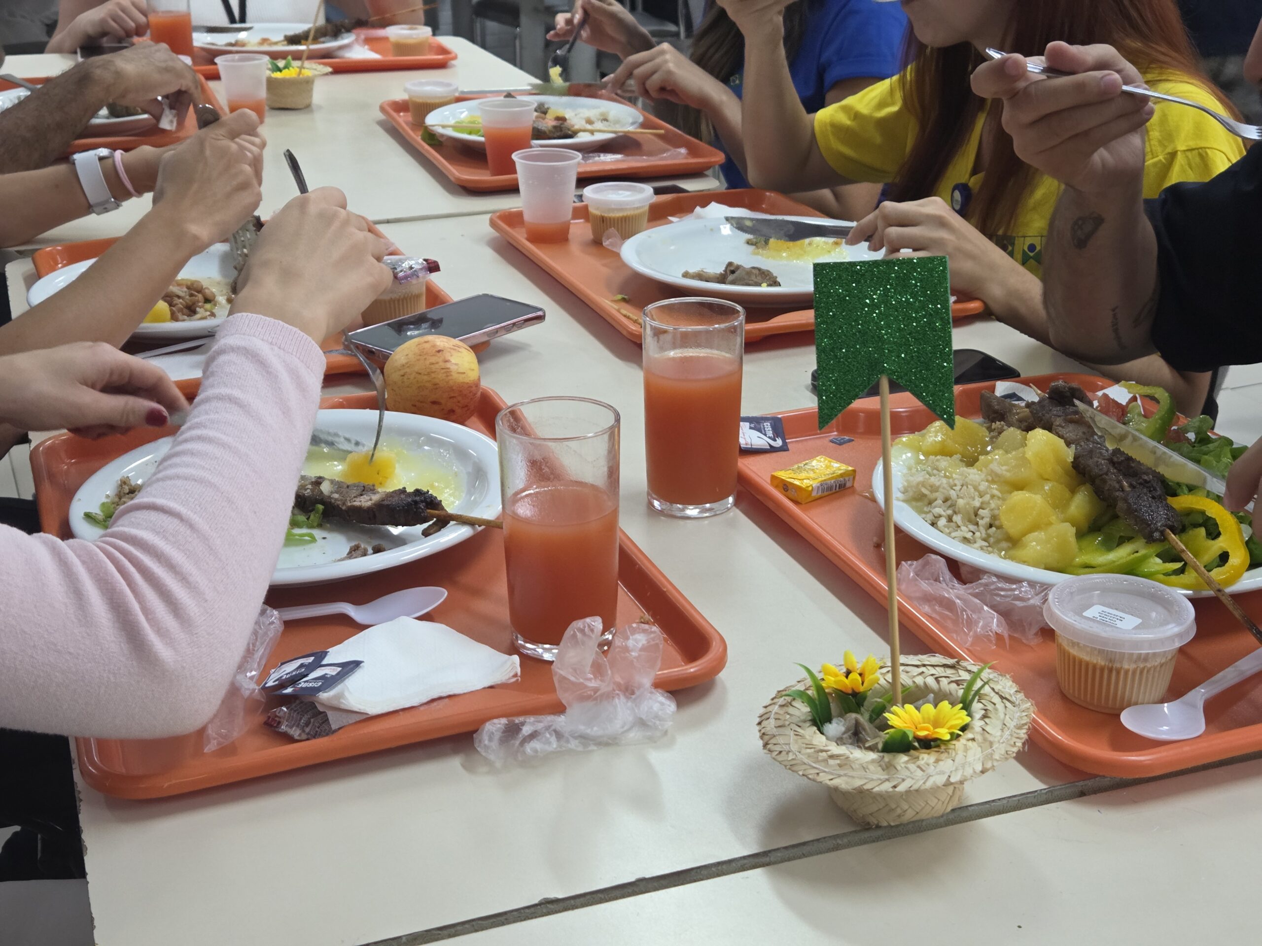24.6. alimentação especial. foto divulgação igesdf4